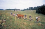 VTT ou randonn�e 