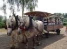 balade en cal�che
