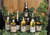 Vins du Jura